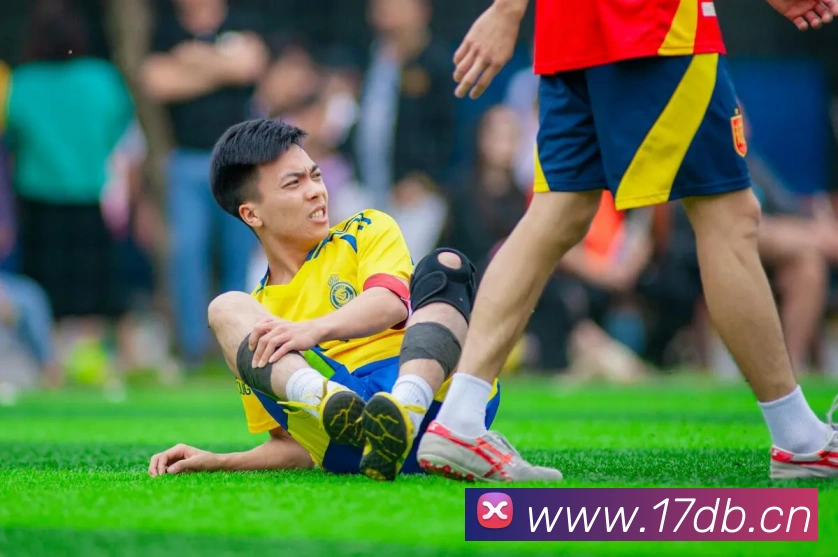 j9国际站官网入口平台生态图